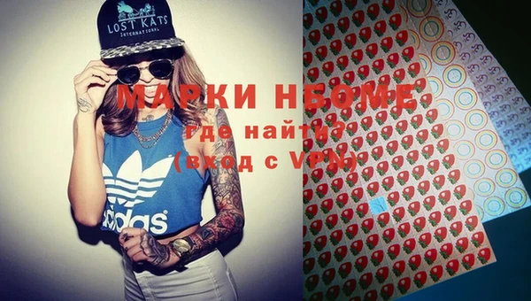 шишки Абаза