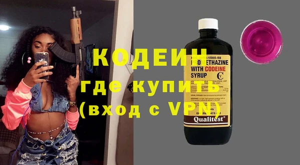 шишки Абаза