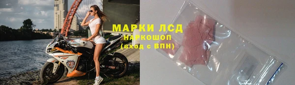шишки Абаза
