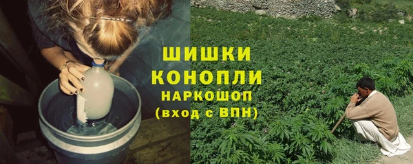 спайс Лагань