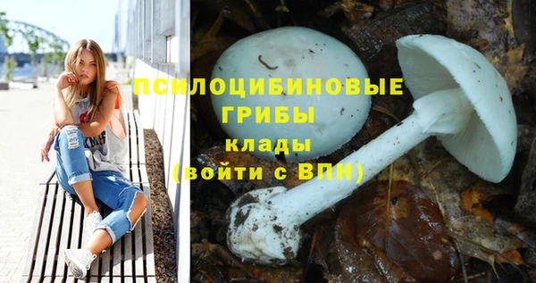 шишки Абаза
