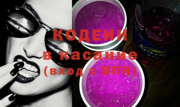 шишки Абаза