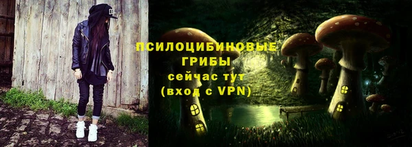 шишки Абаза